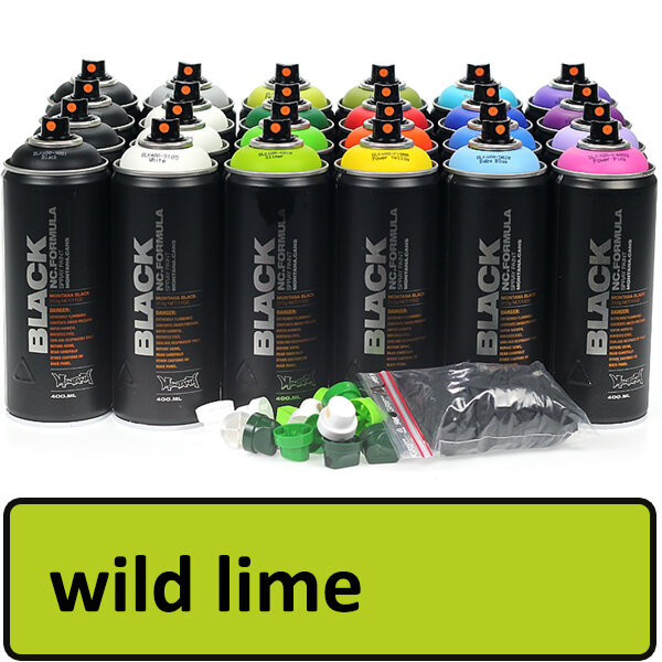 Spray paint wild lime (6015) 400 ml