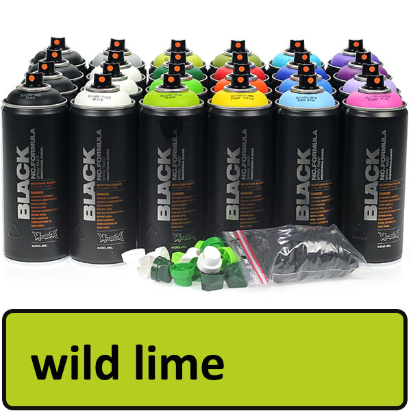 Spraydose Wild Lime (6015) 400 ml