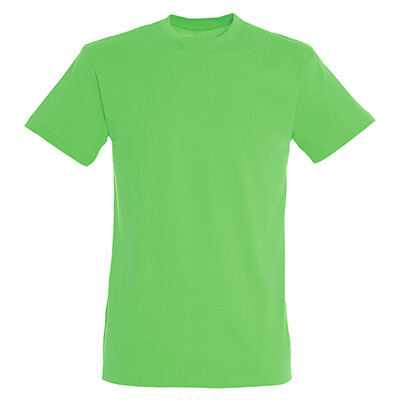 TIFO shirts - light green