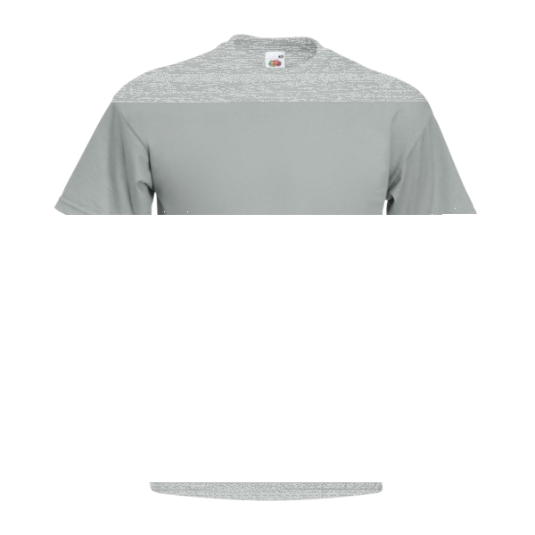 T-Shirt - FotL Super Premium T (205) S Light Graphite