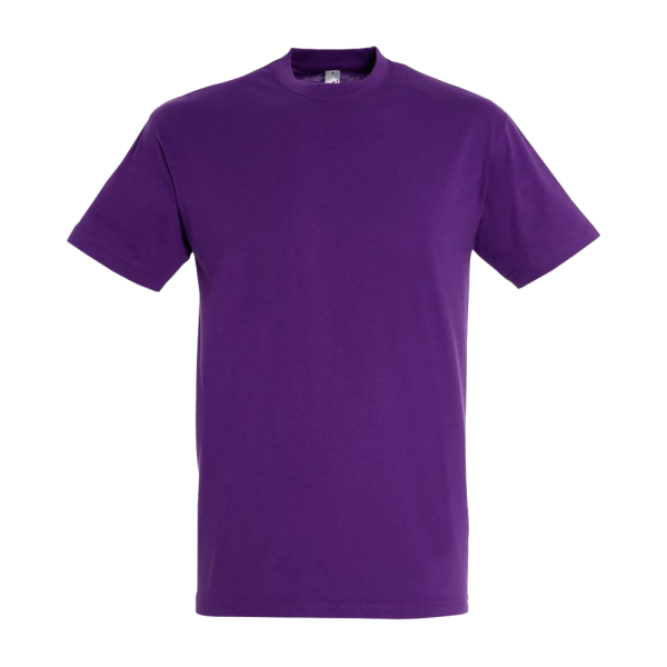 T-Shirt - Sols Regent (150) S Royal Blue
