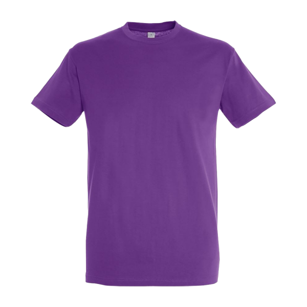 T-Shirt - Sols Regent (150) S Royal Blue