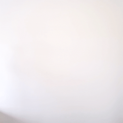https://supporters.de/media/image/storage/opc/Bilder%20Homepage/Produkte/Gifs/Effekte/Konfetti/Wurfrollen/Wurfrolle%20Metallic/wurfrolle%20metallic%20gif.gif